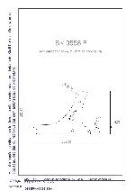SK-0558-E.jpg