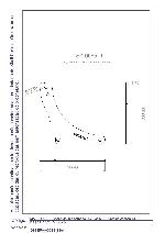 SK-0585-D.jpg