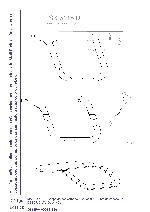 SK-3115-D.jpg